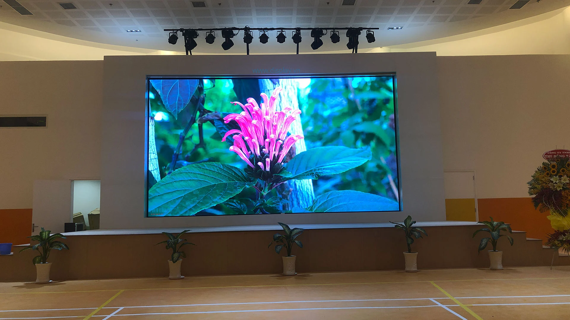 Ưu điểm của LED trong quản trị doanh nghiệp